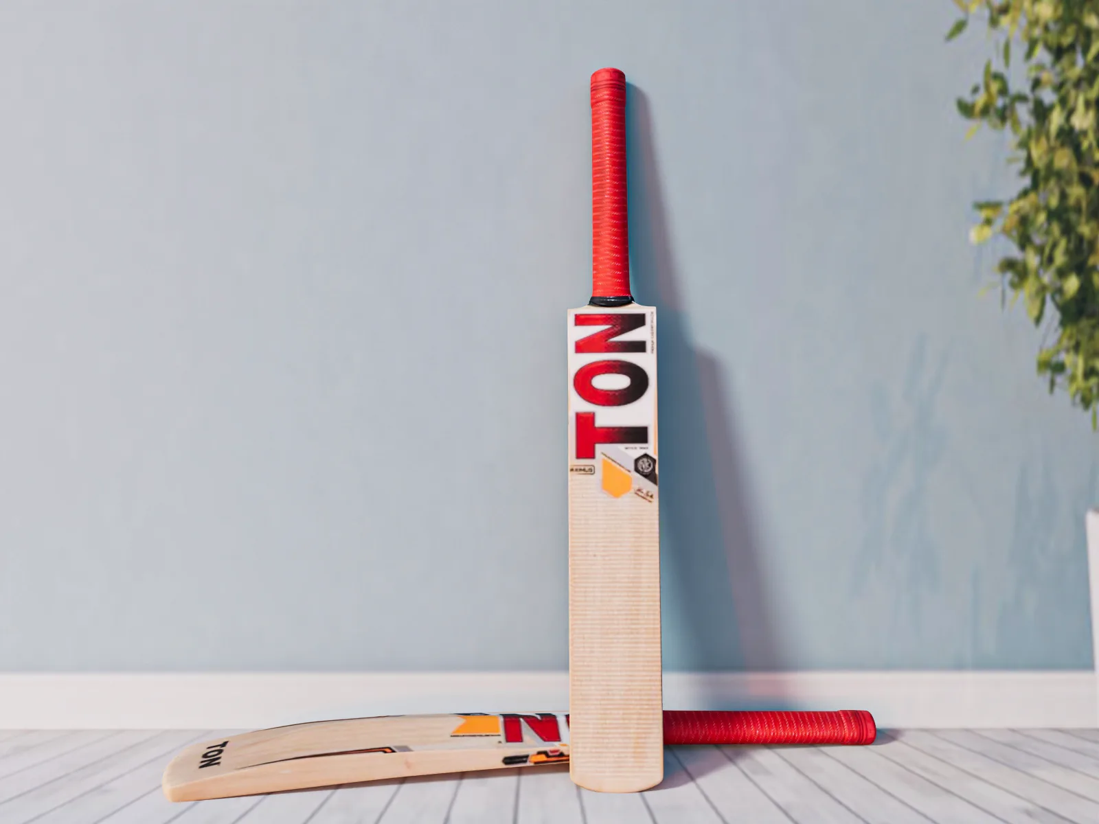 Cricket Bat 01 3D Model