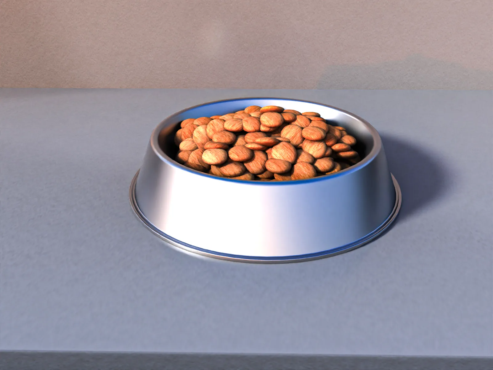 Dog Food Bowl